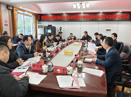 陳印輝帶隊到零陵區考察南津渡光伏項目