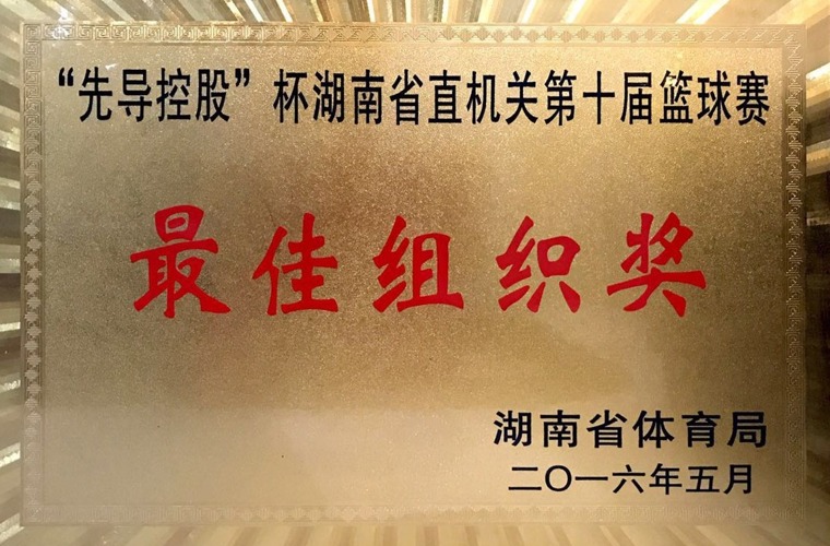 “先導控股”杯籃球賽最佳組織獎