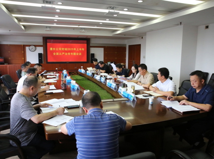 公司黨組召開上半年全面從嚴治黨專題會議